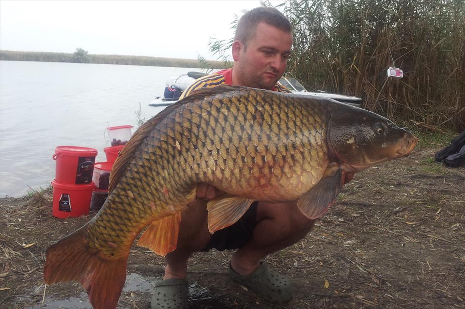 In cautarea monstrului pierdut